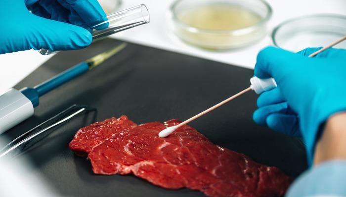 Kurban Bayramı öncesi 'Salmonella' bakterisine karşı uyarı!  Yaz aylarında sık görülüyor "Bazı gruplar daha fazla risk altında"