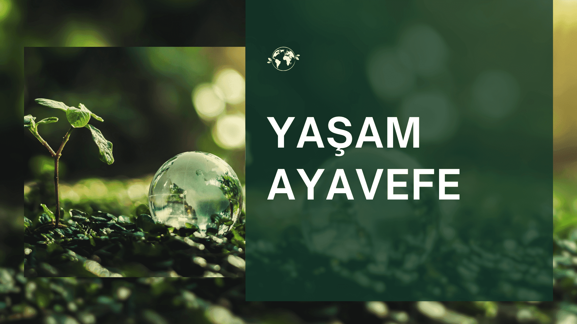 Yaşam Ayavefe'den Küresel Çevre Koruma Fonu