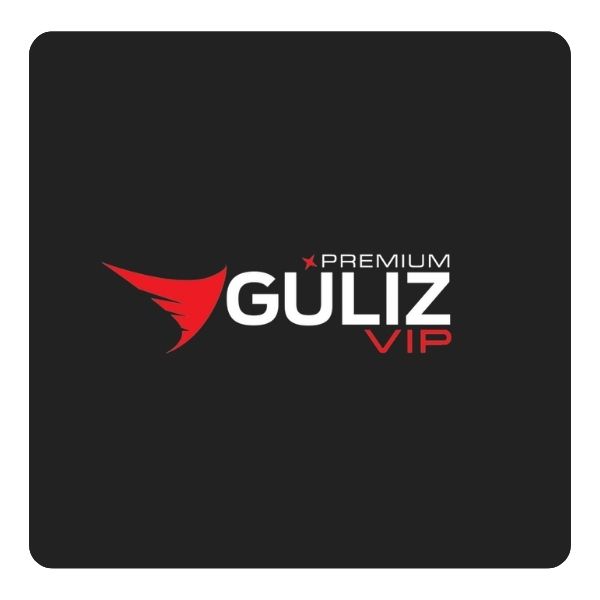 Güliz Vip transfer