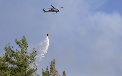 Muğla Fethiye'deki orman yangını kontrol altında