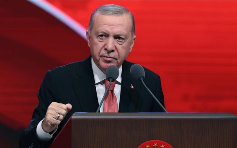 Cumhurbaşkanı Erdoğan: KKTC ile işbirliği içindeyiz